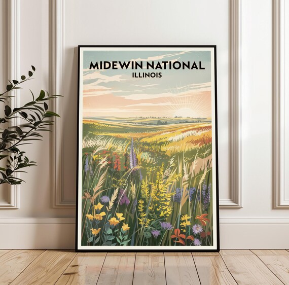 Midewin National Illinois Sunrise Prairie Wildflower Travel Poster