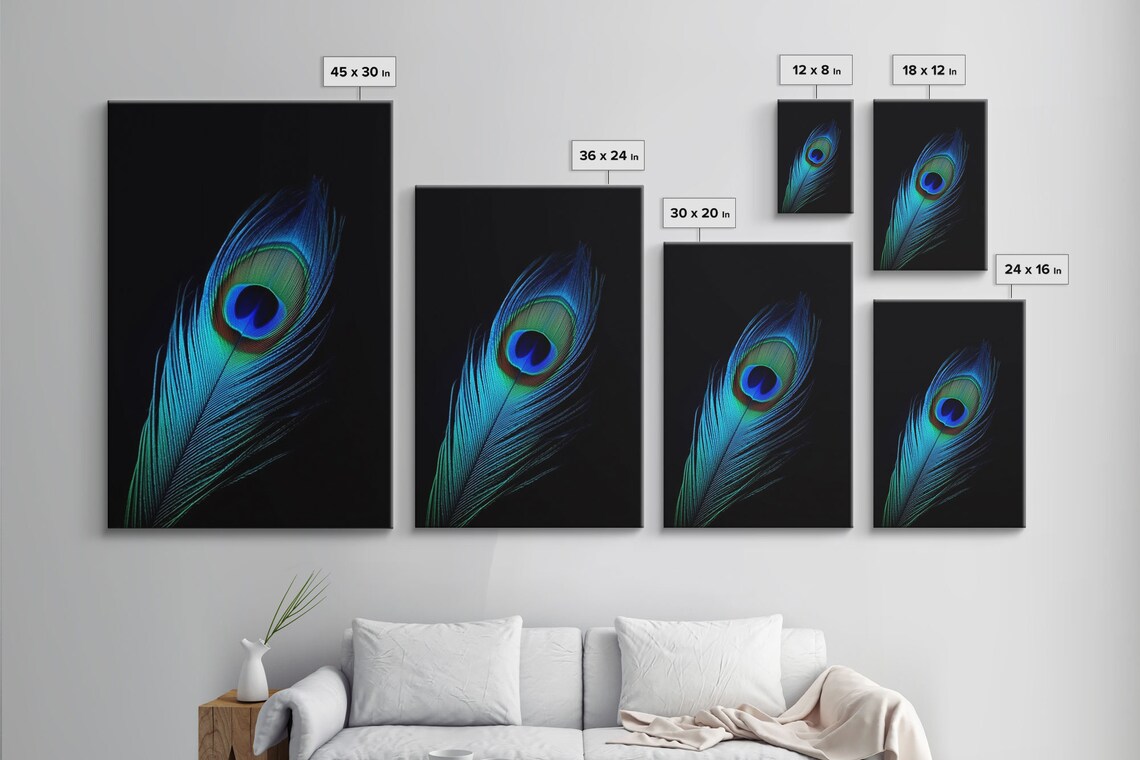 Lone Peacock Feather Art Print, Peacock Bird Study - Image 5