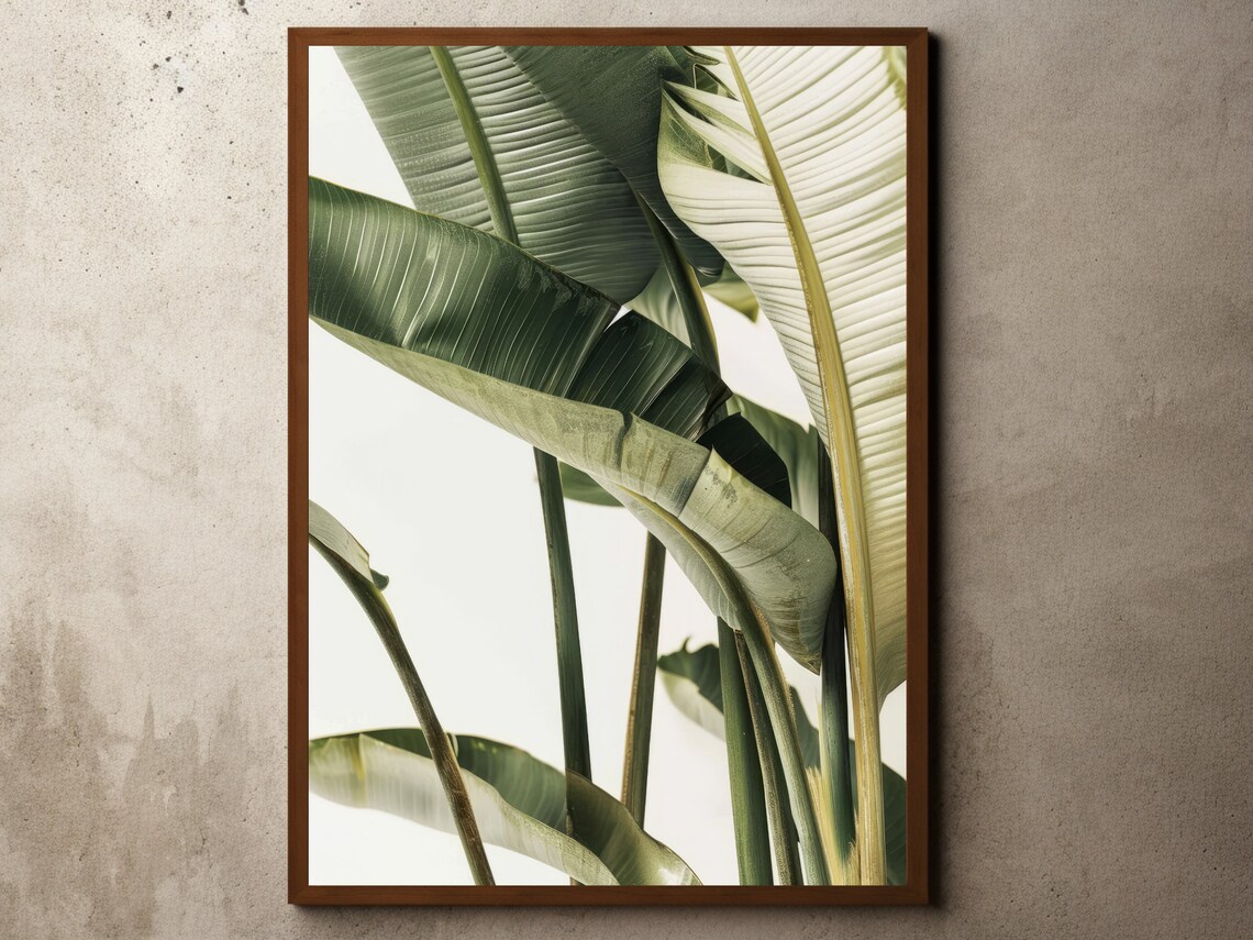Tall Banana Leaves Against Pale Sky Modern Tropical Photography Poster
