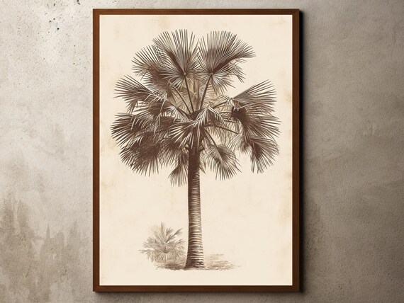 Vintage Palm Tree Drawing Rustic Antique Farmhouse Print Flowers Still Life Botanical Sketch Etching