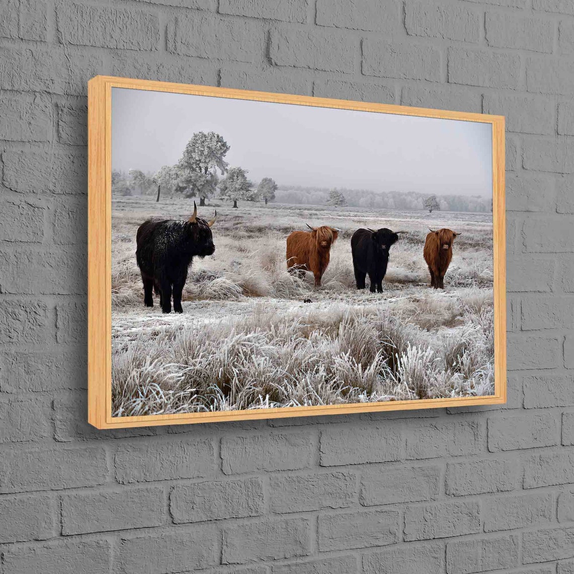 Highland Cows in Snowy Field Rustic Winter Wildlife Art Poster