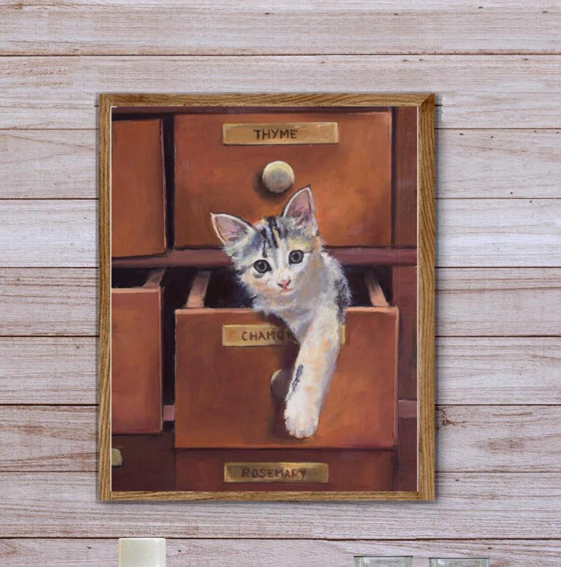 Playful Kitten in Herbalist Apothecary Drawers with Herb Labels Poster
