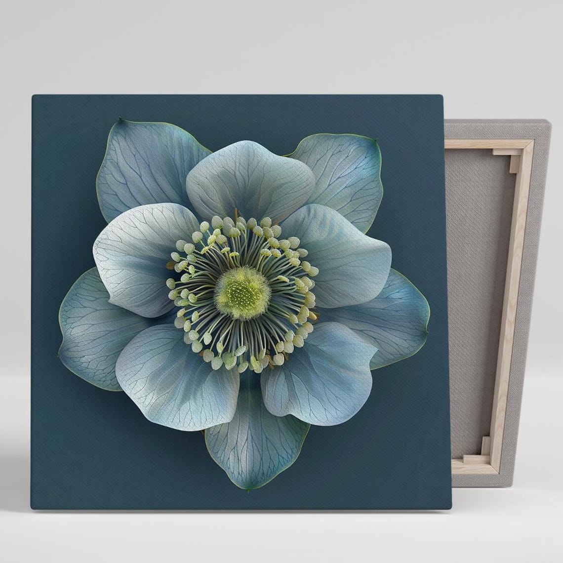 Pale Blue Hellebore Bloom On Dark Teal Background Botanical Poster