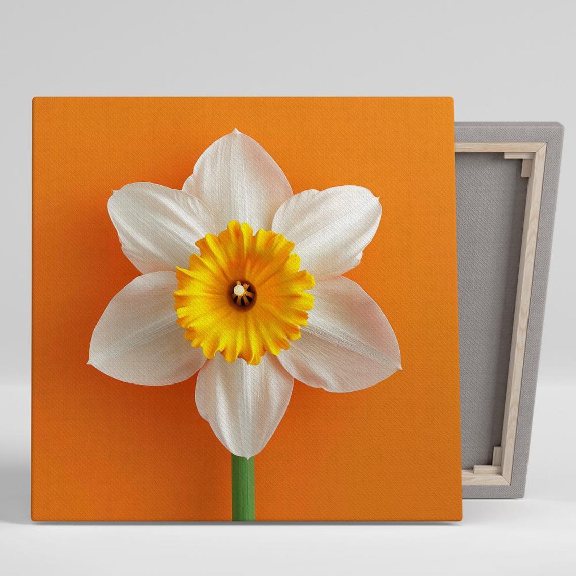 White Daffodil Golden Trumpet Bold Orange Background Macro Art Poster