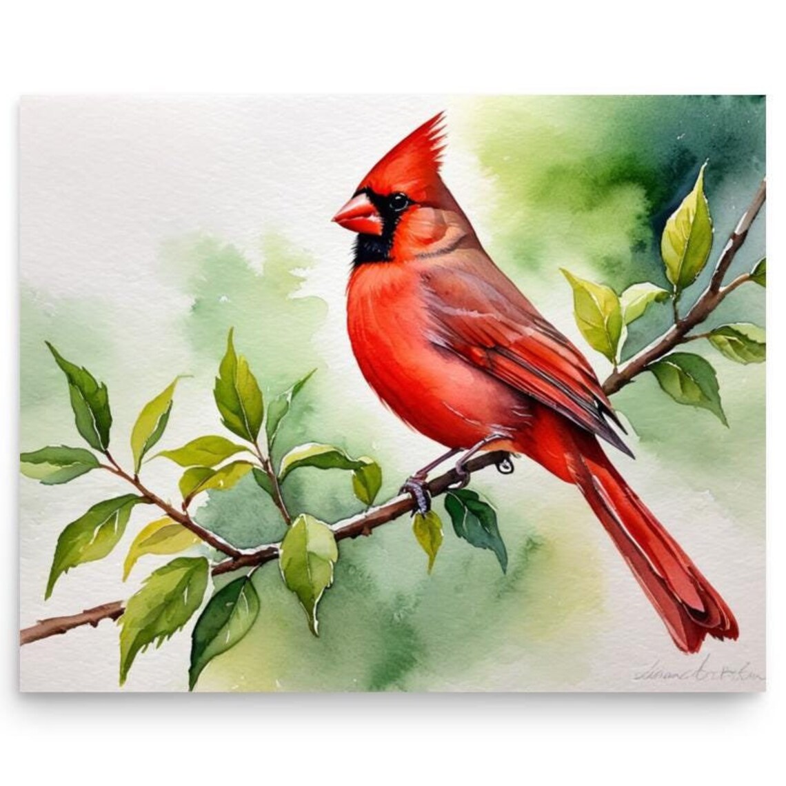 Red Cardinal Watercolor Art Print, Bird on Branch