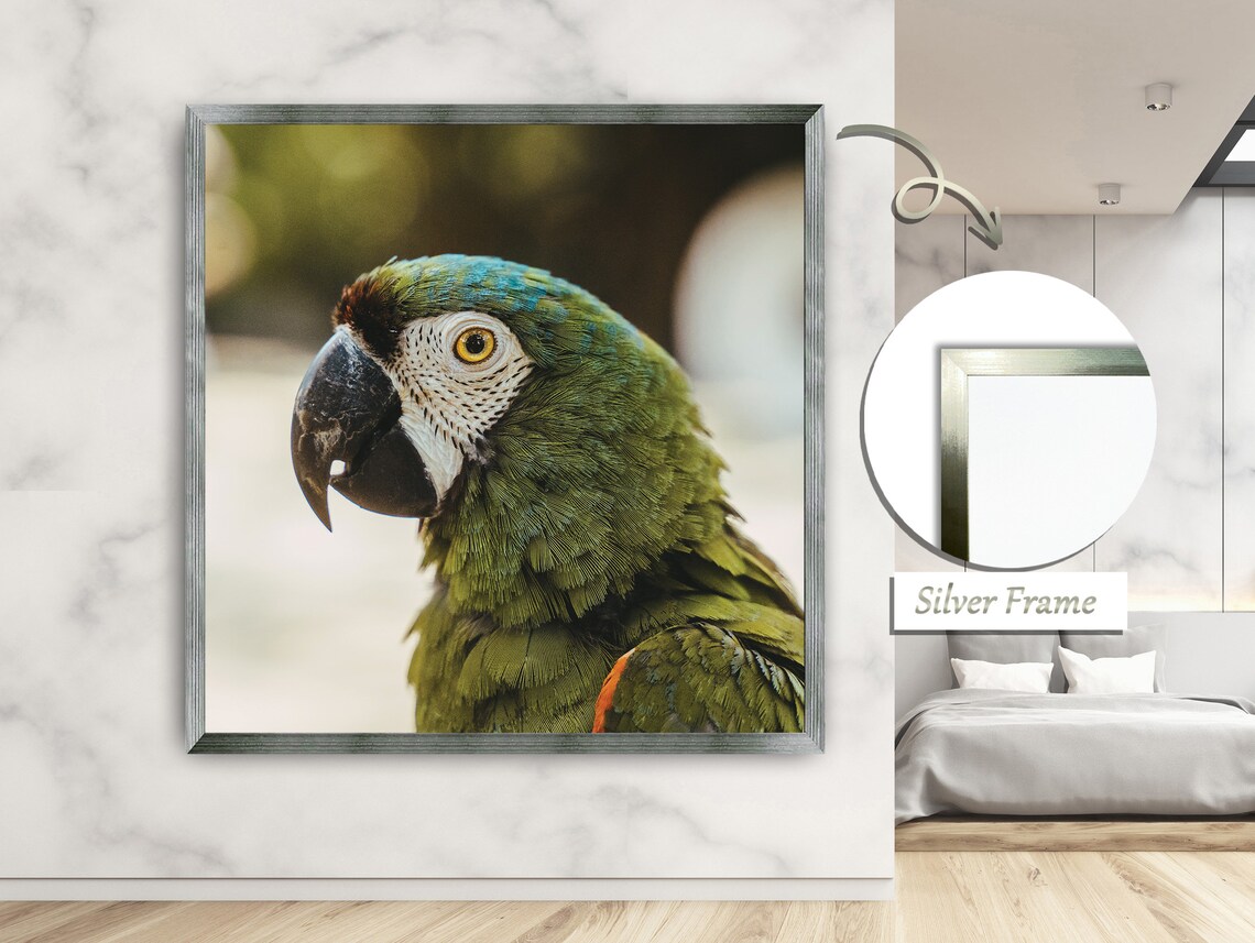 Colorful Parrot Portrait, Tropical Nature Painting - Image 2