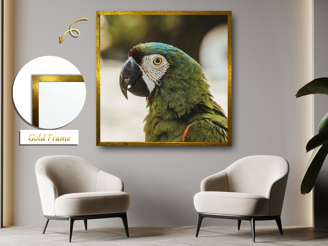 Colorful Parrot Portrait, Tropical Nature Painting - Image 5