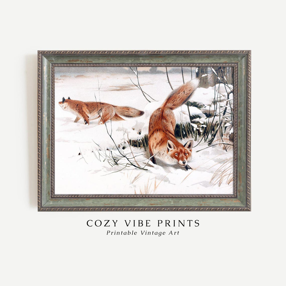 Red Foxes Playing in Snow Vintage Wildlife Winter Animal Poster - Image 3