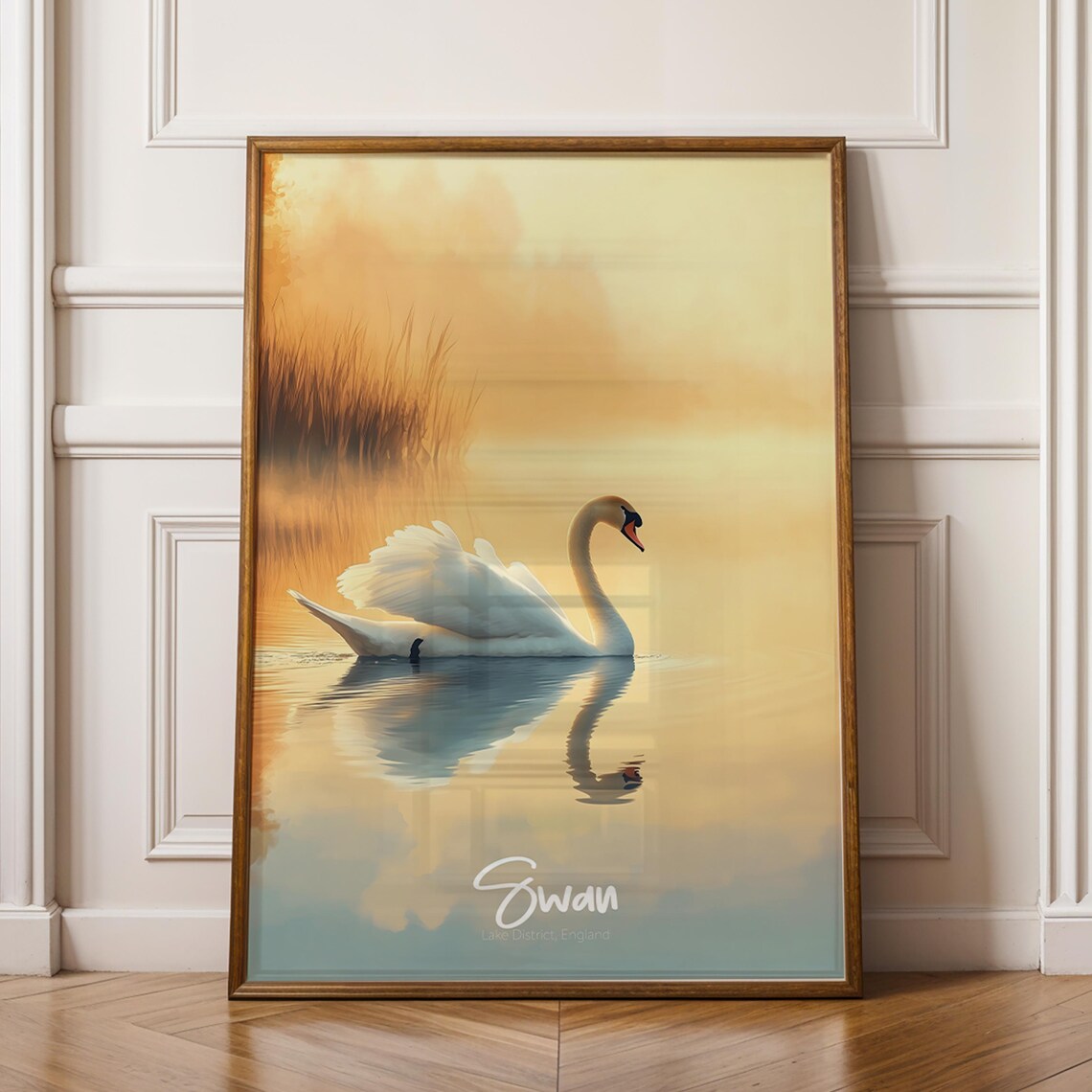 Mute Swan at Sunrise Lake District England Wildlife Art Poster