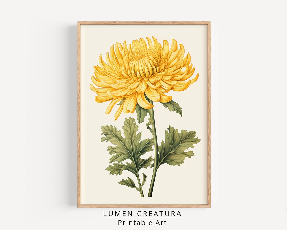 Botanical Art Print, Vintage Chrysanthemum Artwork