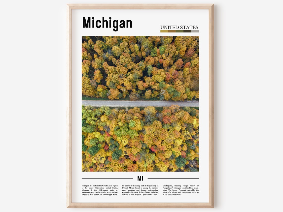 Michigan Fall Foliage Forest Aerial Color Minimalist Travel Poster