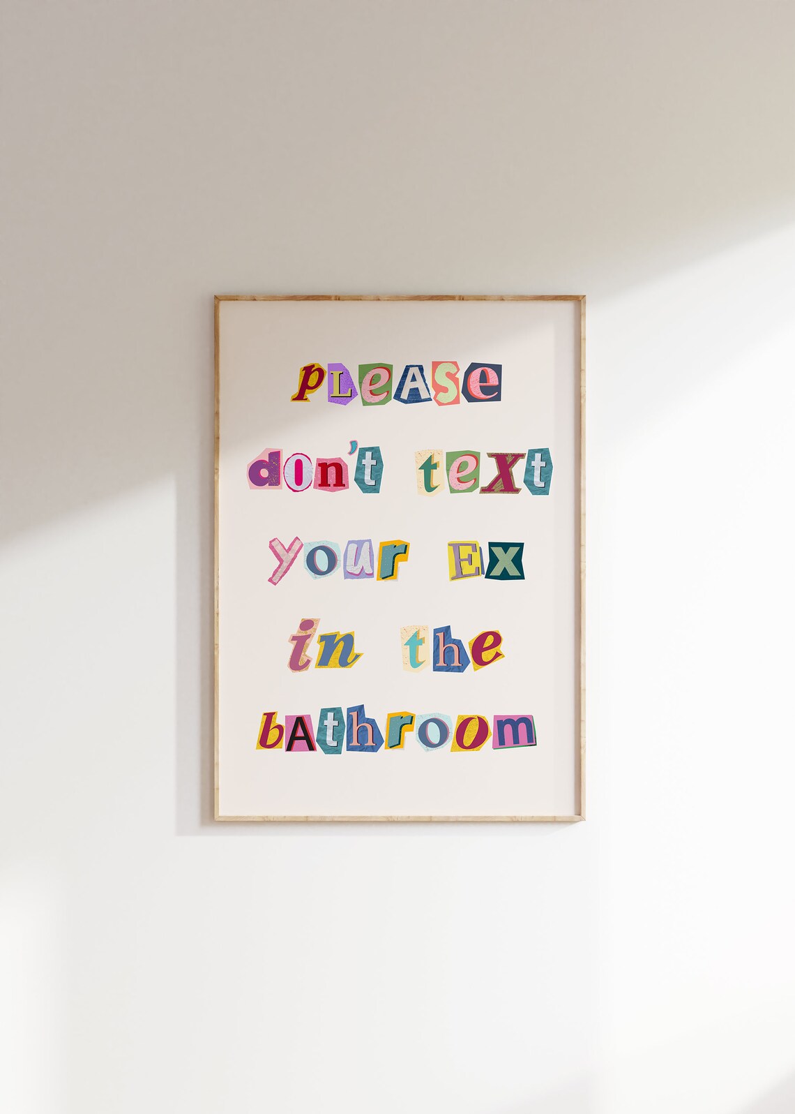 Please Don't Text Your Ex In The Bathroom Art Print