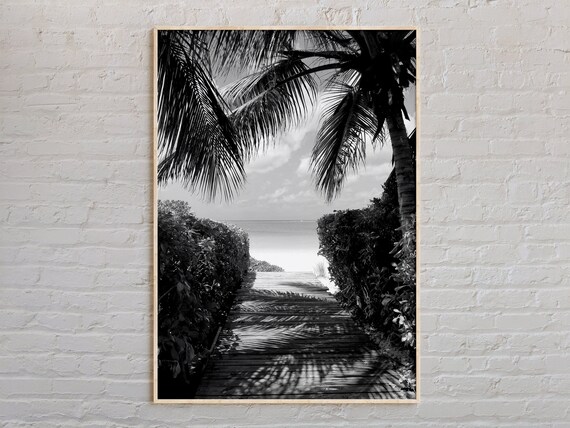 Tropical Beach Boardwalk Through Palms Black And White Poster