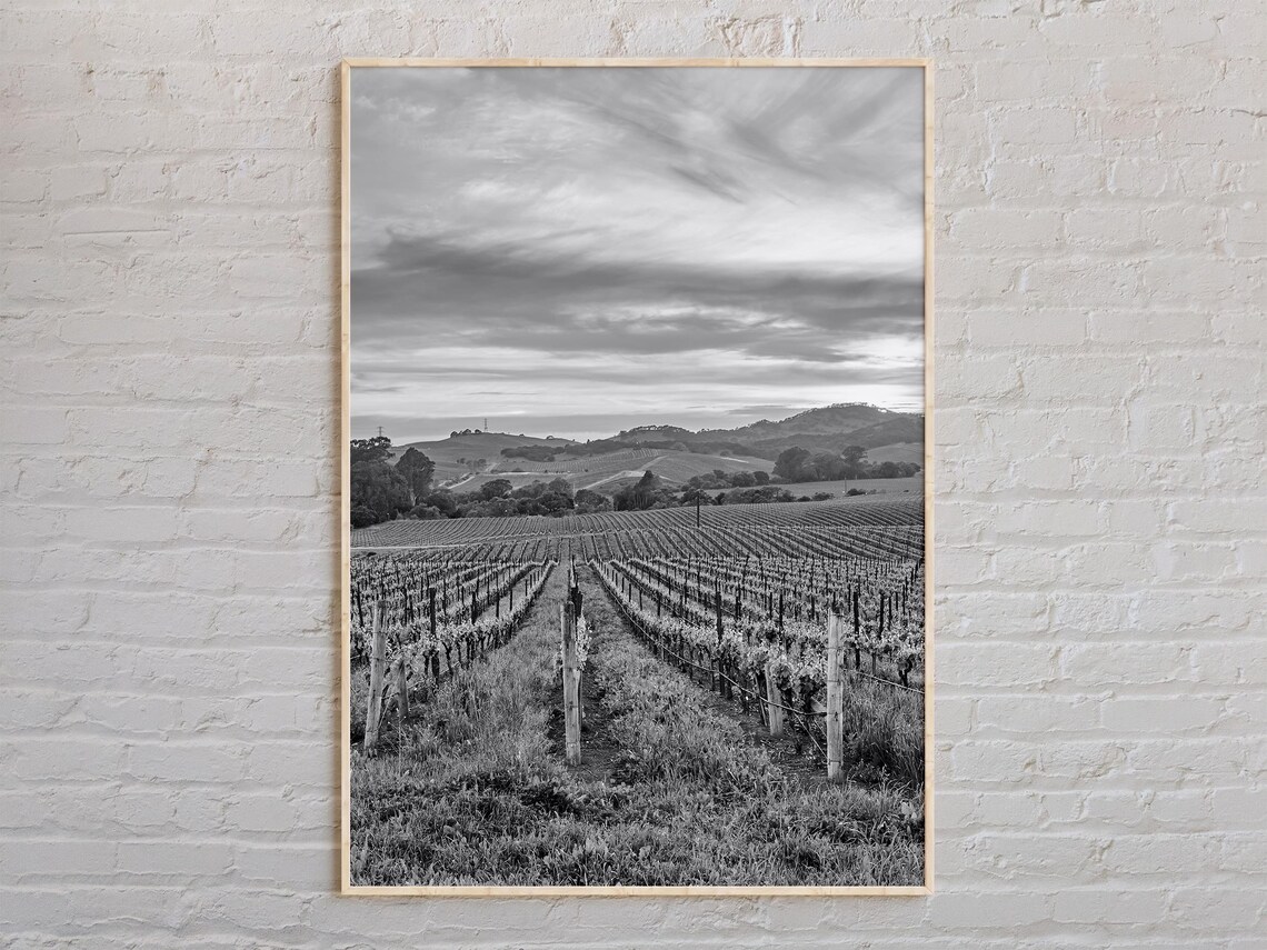 Black And White Napa Valley Travel Poster