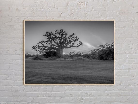 Black And White Senegal Print Senegal Wall Art Senegal Poster Senegal Photo Senegal Poster Print Senegal Wall Decor Africa Poster