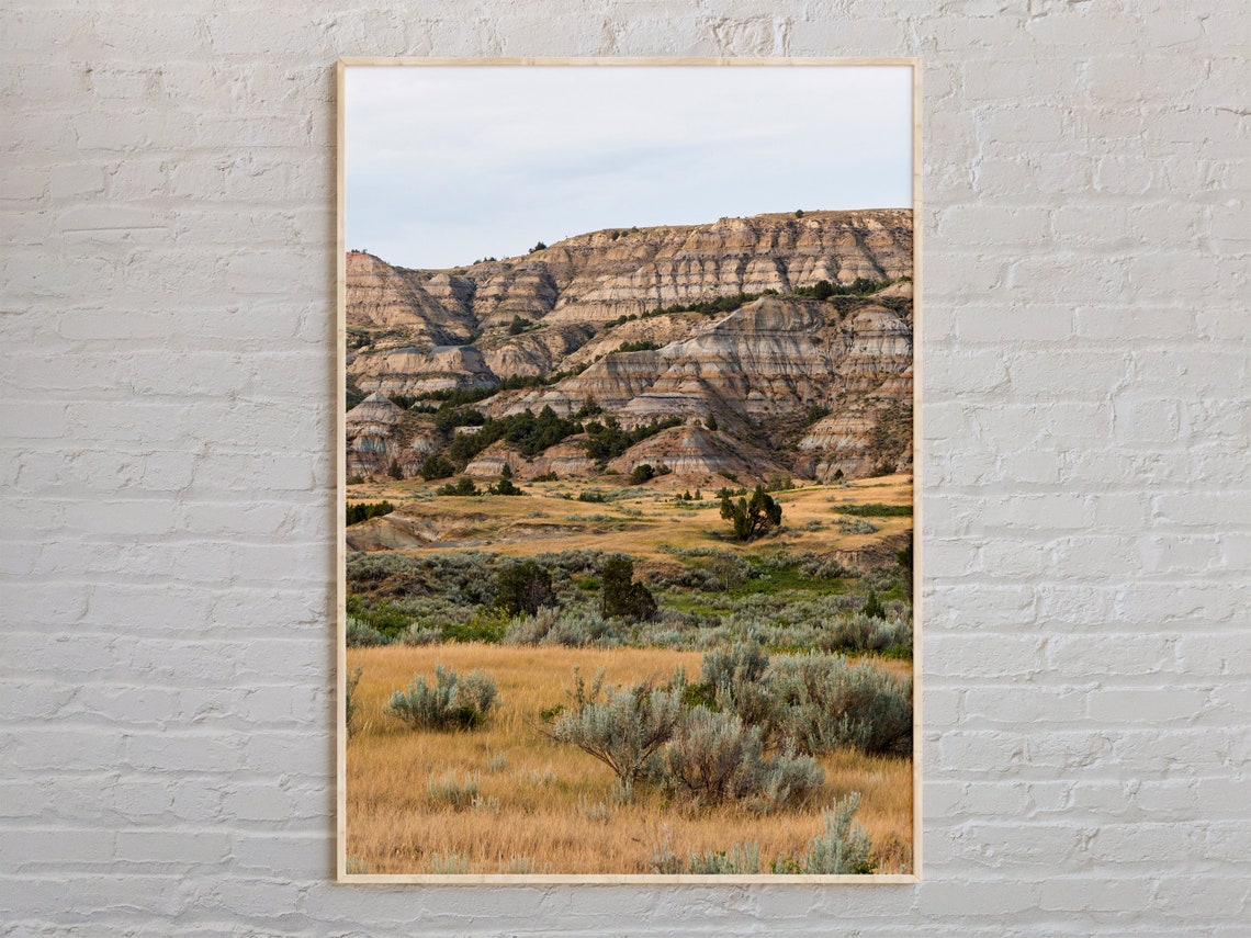 North Dakota Badlands Prairie Golden Landscape Real Photo Poster
