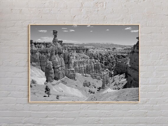 Bryce Canyon Hoodoos Rock Formations Black and White Landscape Poster