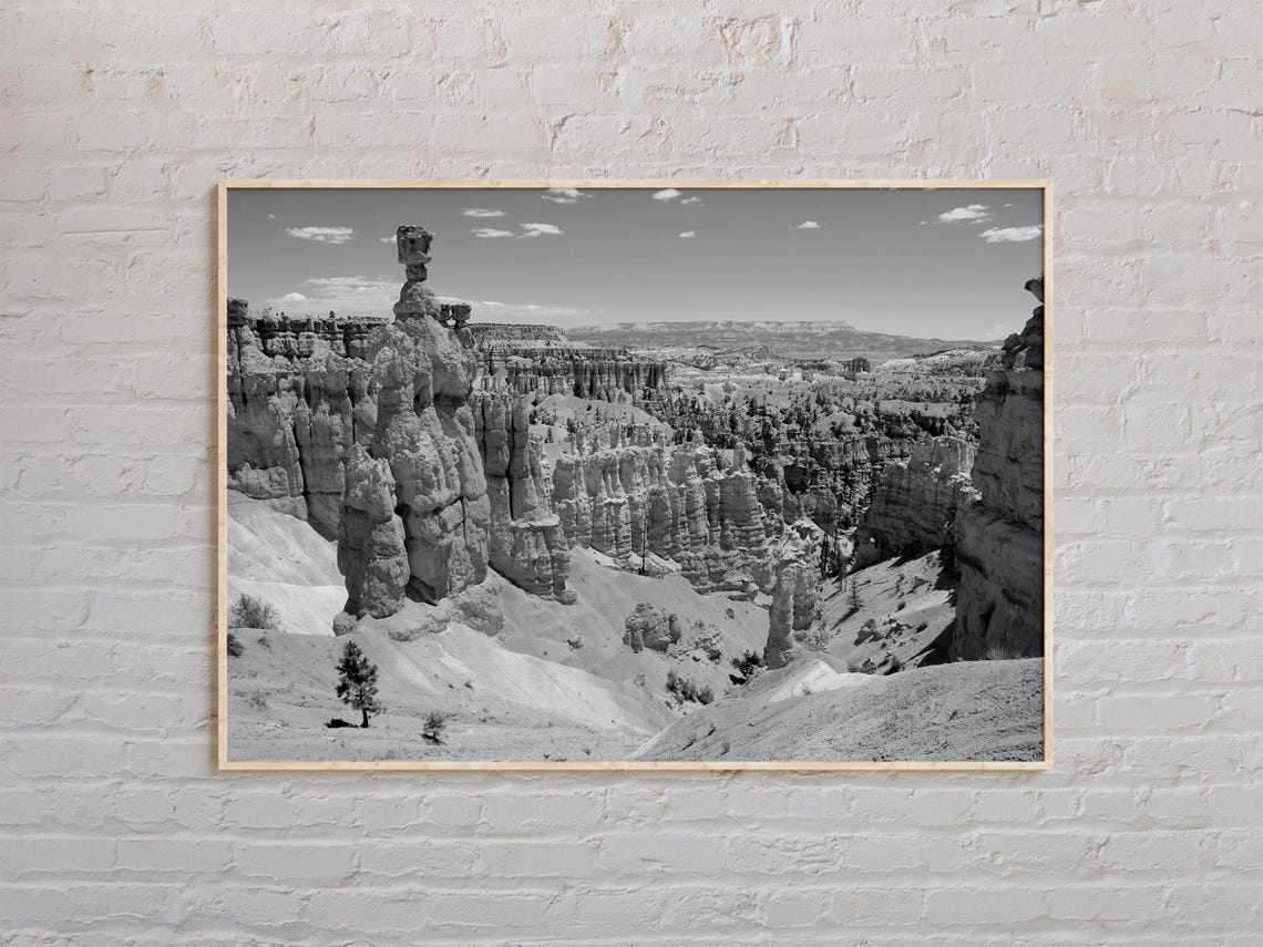 Bryce Canyon Hoodoos Rock Formations Black and White Landscape Poster