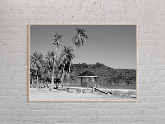 Trinidad And Tobago Beach Black And White Palm Trees Photo Poster