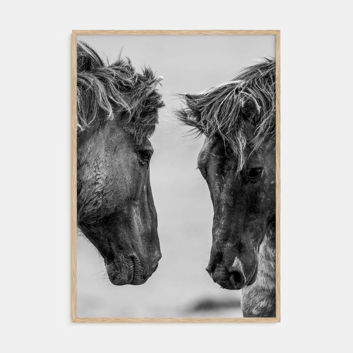 Two Horses Face to Face Windswept Black and White Photo Poster