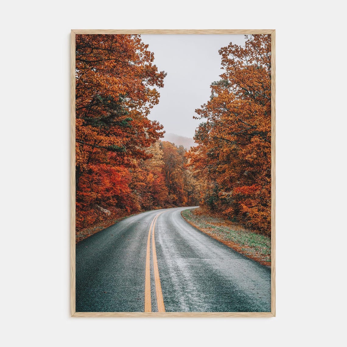 Autumn Road Through Orange Fall Forest Landscape Photography Poster