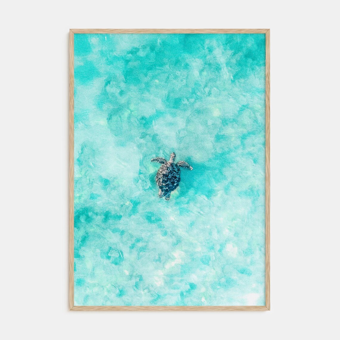 Sea Turtle Color Photography Poster, Ocean Decor