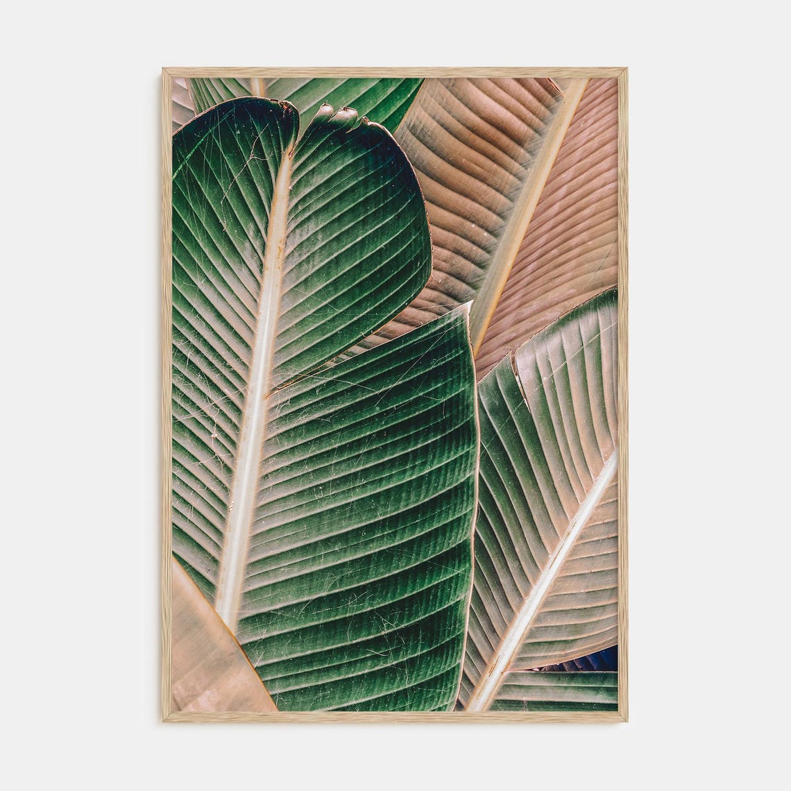 Green Palm Fronds Leaf Pattern Close Up Botanical Photo Poster