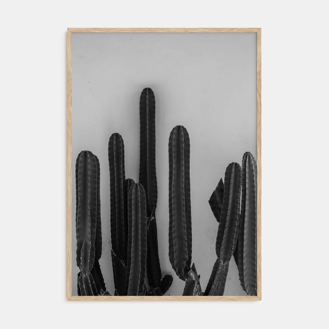 Tall Columnar Cacti Group Black and White Botanical Photography Poster