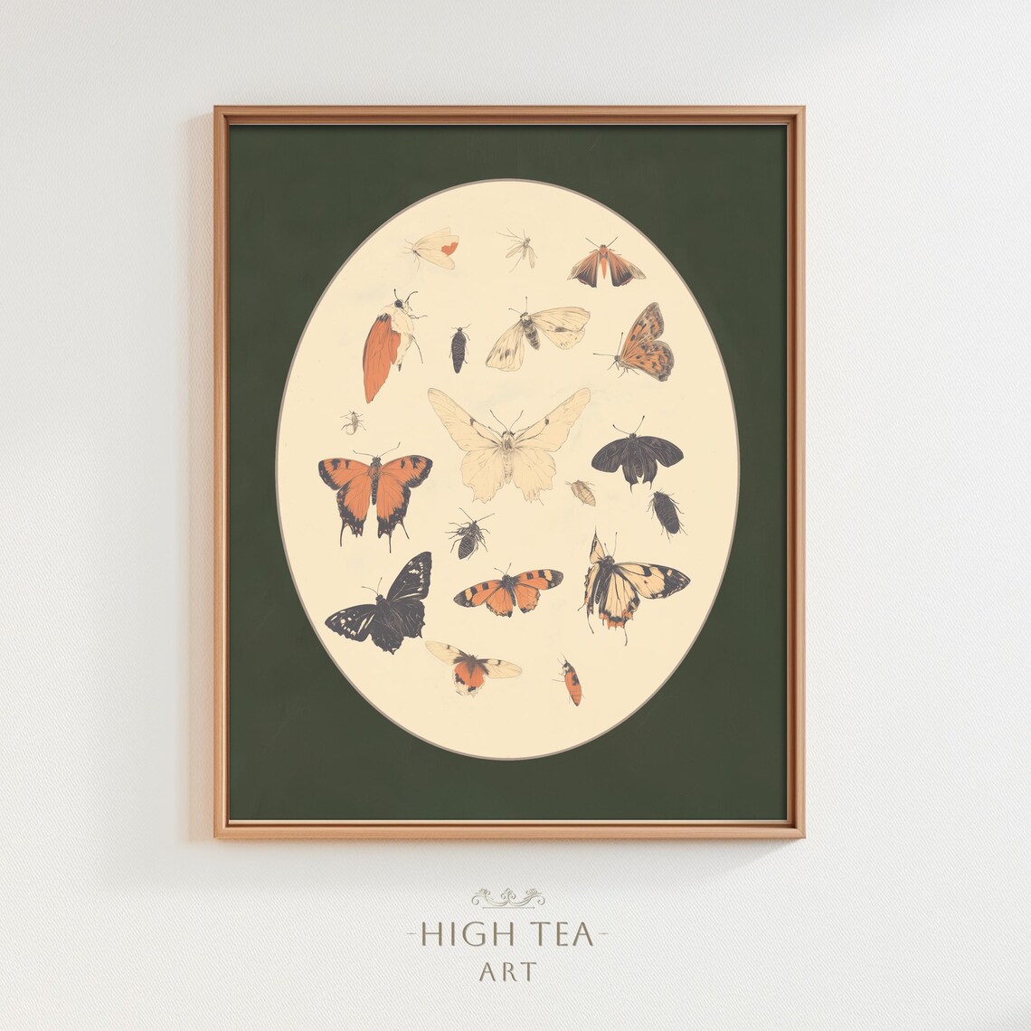 Vintage Butterflies Moths Entomology Illustration Nature Art Poster
