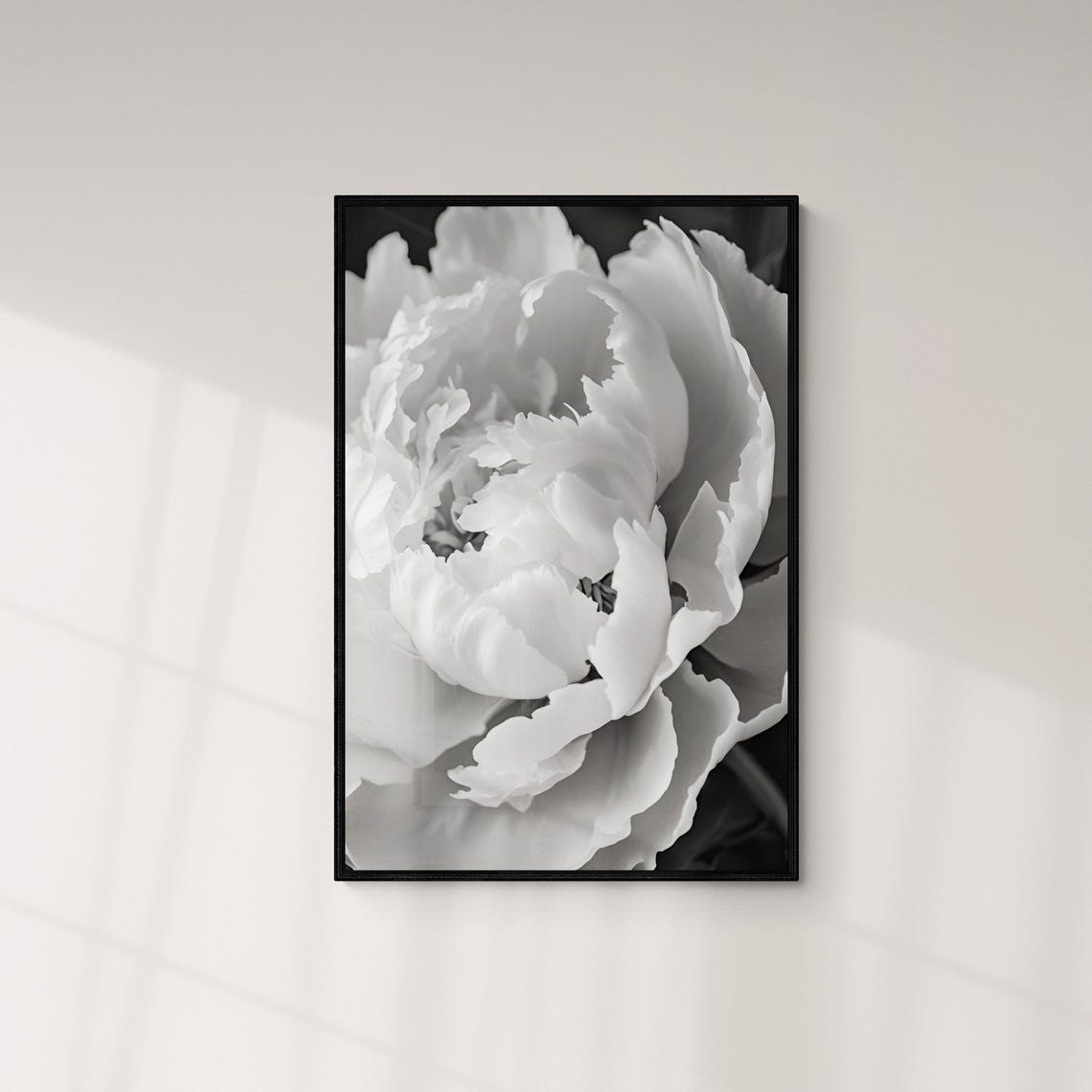 White Peony Blossom Macro Black And White Botanical Floral Art Poster