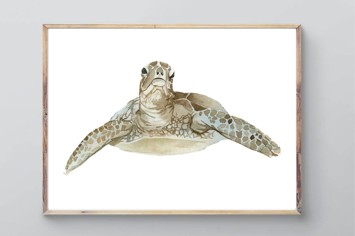Din A4 Art Print Without Frame Turtle Turtle Sea Sea Ocean Bathroom Watercolor Image Poster 2 - Image 3