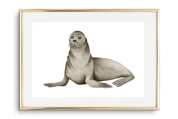 Cute Seal Watercolor Grey Sea Animal Maritime Nursery Ocean Art Poster
