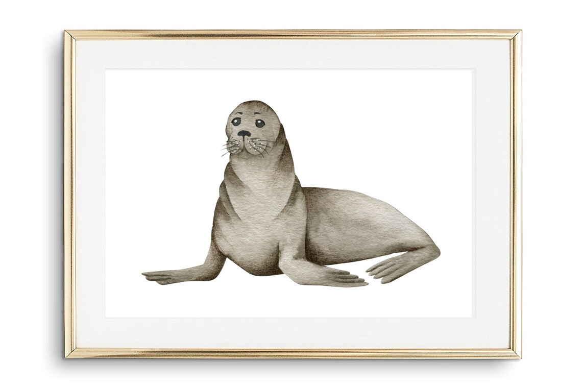 Cute Seal Watercolor Grey Sea Animal Maritime Nursery Ocean Art Poster