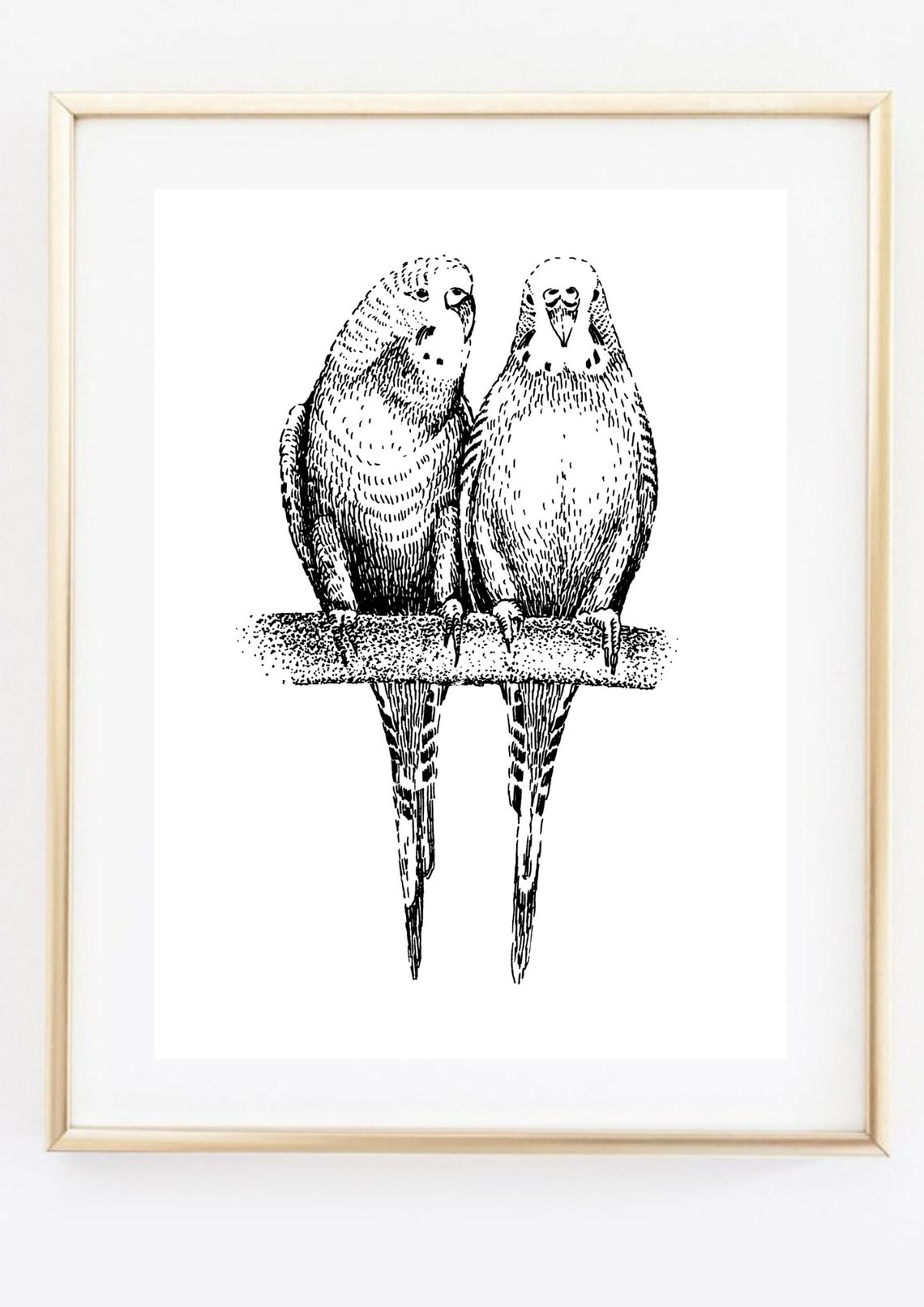 Budgerigar Budgie Pair Perched On Branch Black Ink Sketch Bird Poster