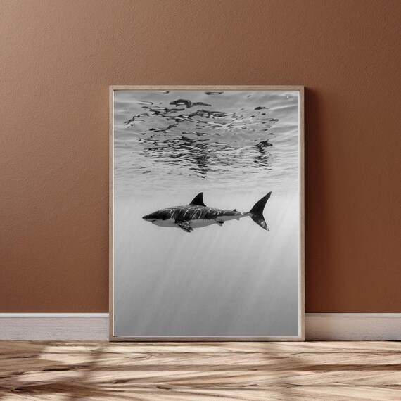 Large Minimalist Black And White Shark Photography Ocean Themed Wall Art Modern Sea Decor For Home Or Office
