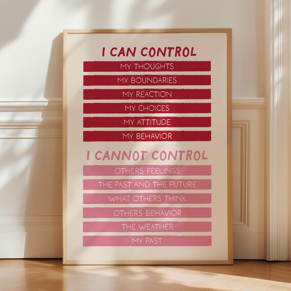 What I Can and Cannot Control Therapy Mindfulness Quote Wall Poster