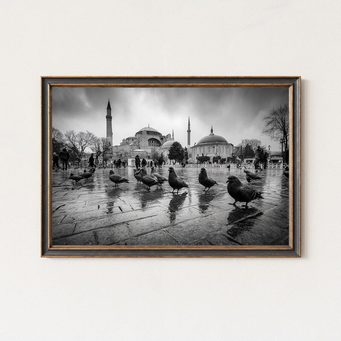 Pigeons on Wet Square Before Hagia Sophia Istanbul Photo Poster