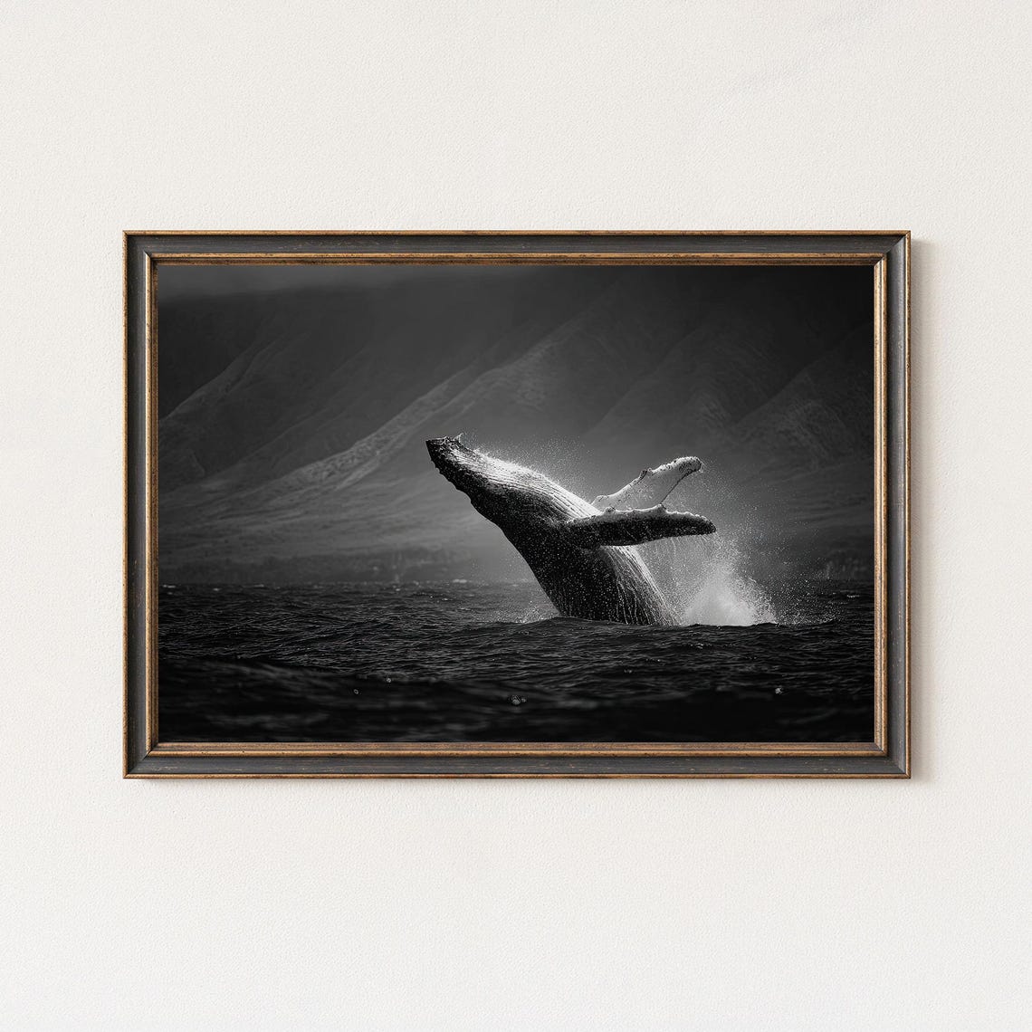 Black White Breaching Whale Wall Art Dramatic Ocean Wildlife Print