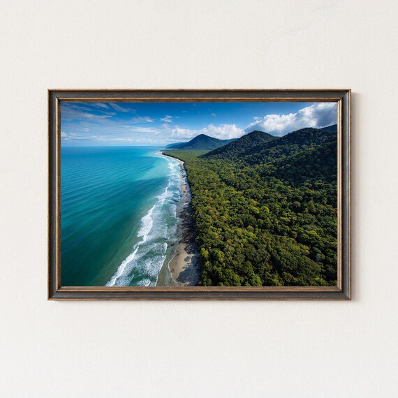 Tropical Rainforest Coast Aerial View Turquoise Ocean Beach Poster