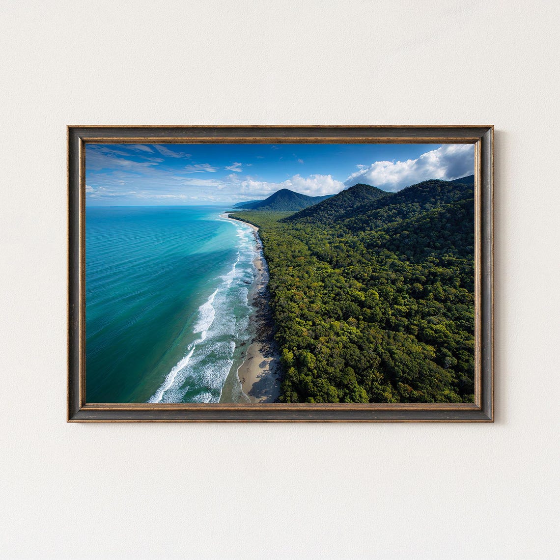Tropical Rainforest Coast Aerial View Turquoise Ocean Beach Poster