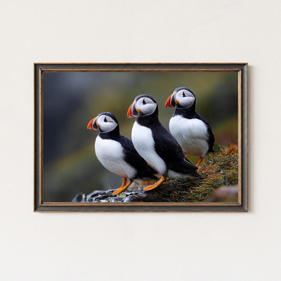 Three Puffins Rocky Cliff Seabird Trio Wildlife Photography Poster