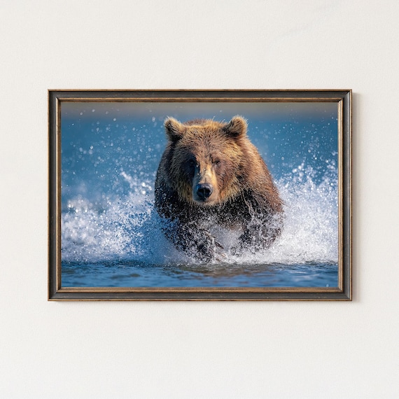 Grizzly Bear Photography Print Wildlife Wall Art