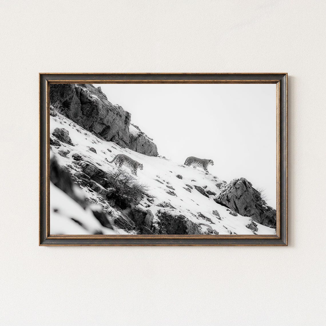 Snow Leopards On Mountain Ridge Black White Wildlife Print