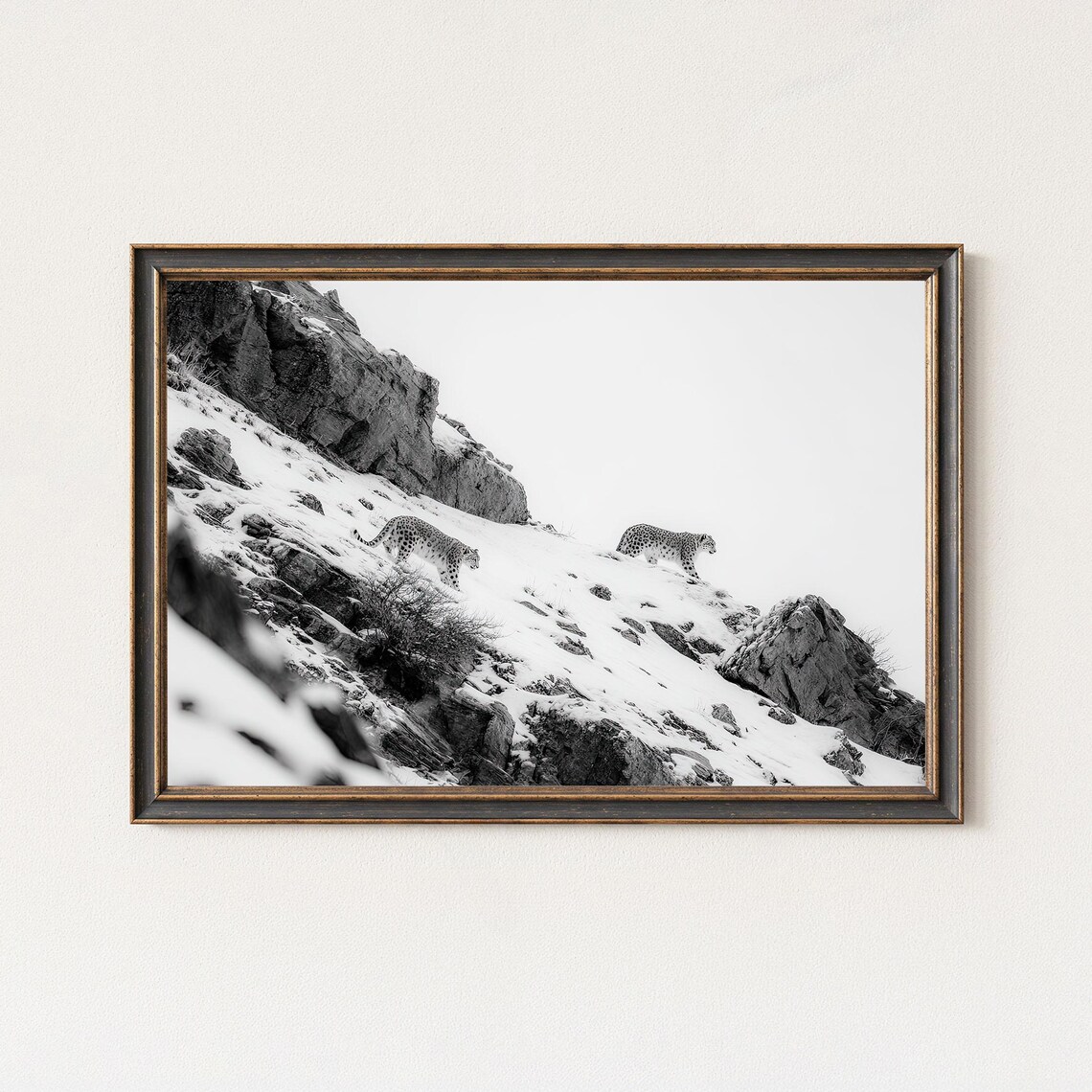 Two Snow Leopards Snowy Mountain Slope Monochrome Photo Poster