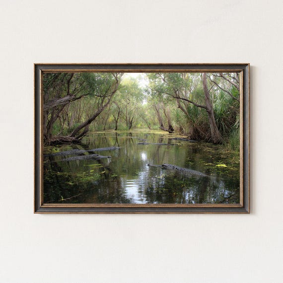 Crocodile Wetlands Photography Print Australian Wildlife Landscape Art