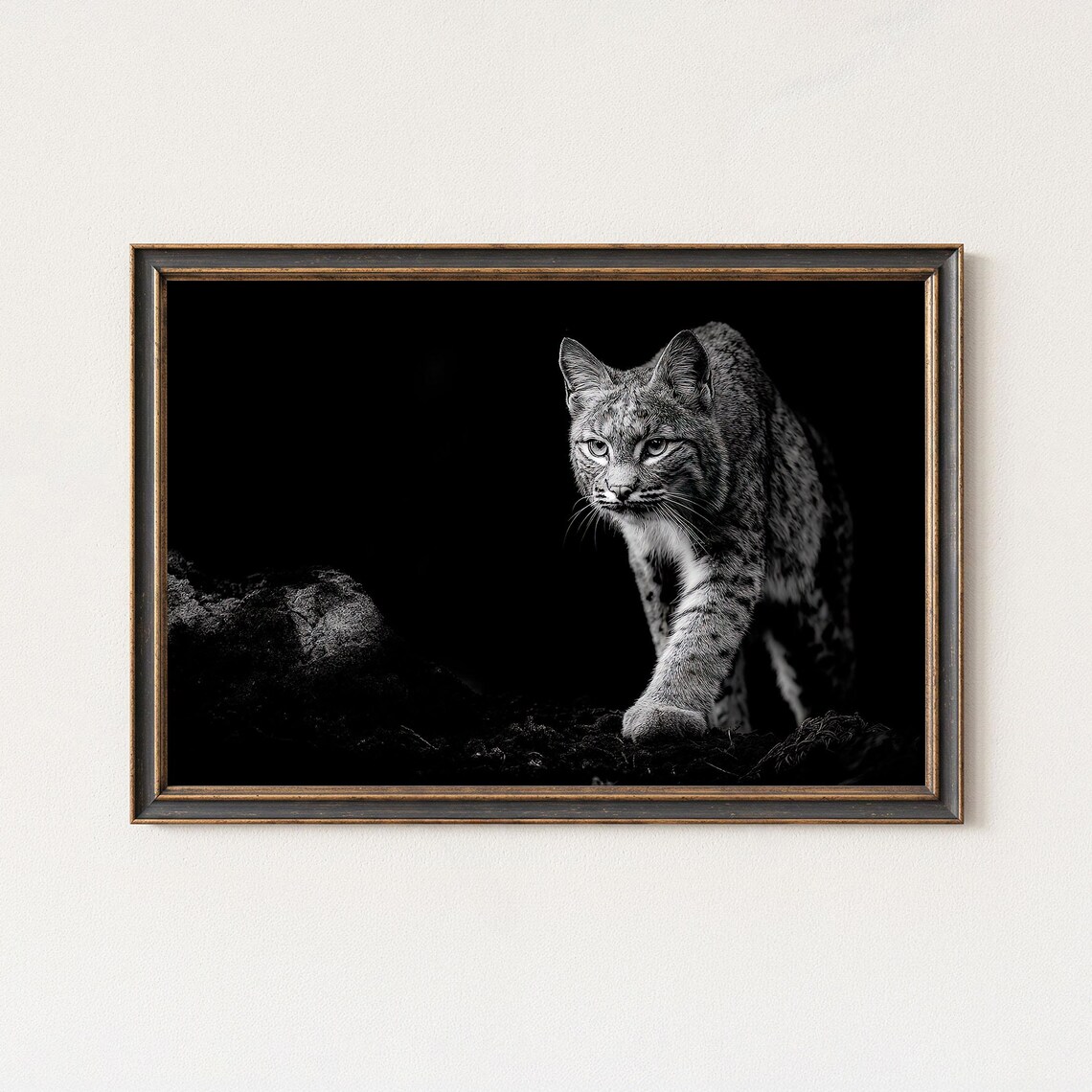 Black And White Wildlife Lynx Photography Wall Art Print