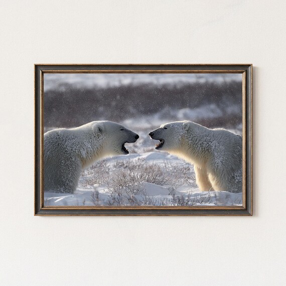 Polar Bear Photography Print Arctic Wildlife Wall Art