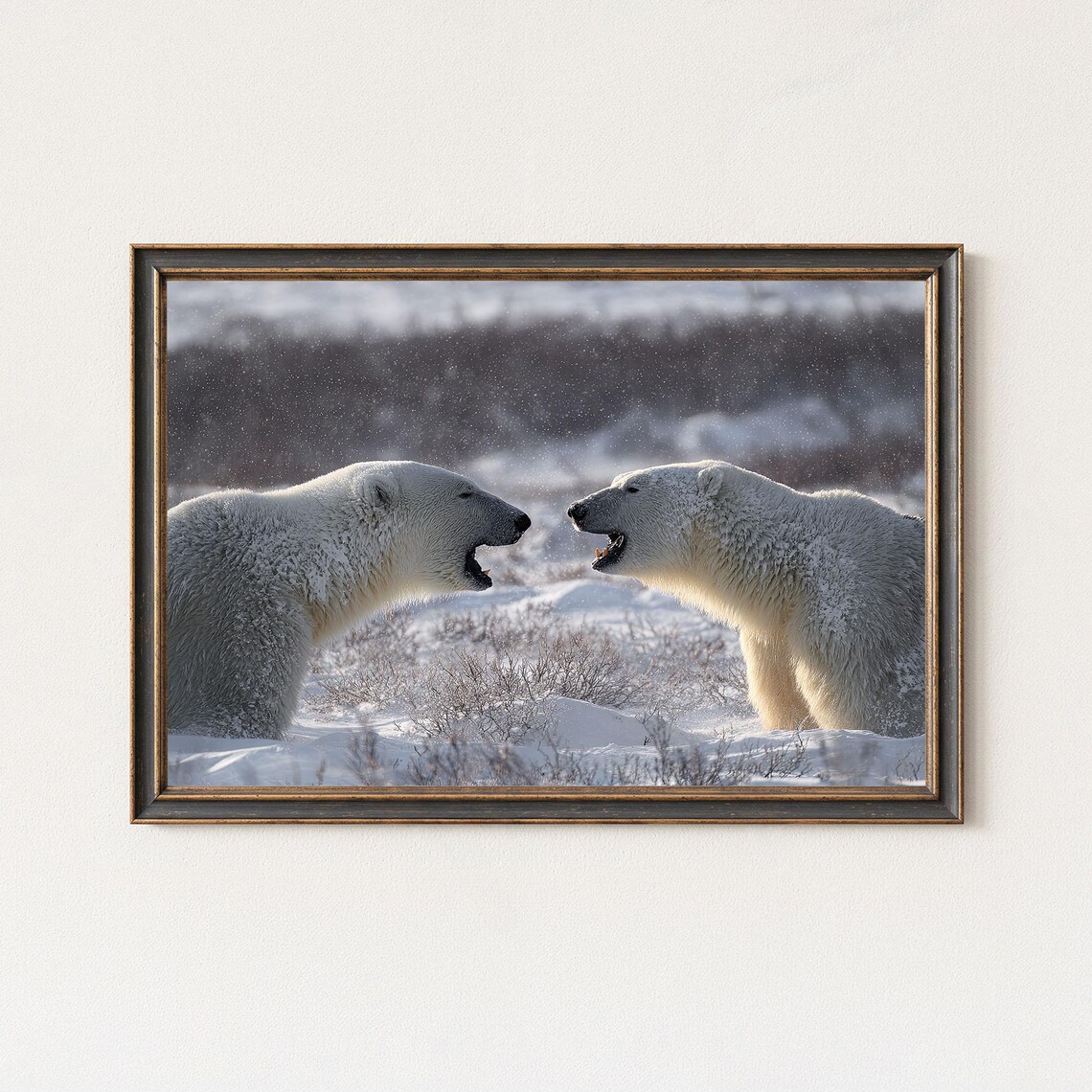 Polar Bear Photography Print Arctic Wildlife Wall Art