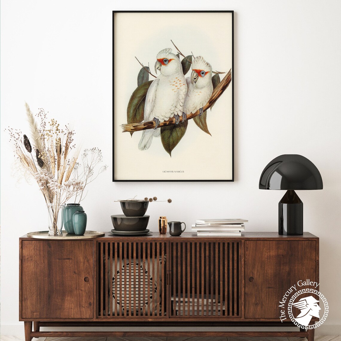 Vintage Long-Billed Corella Pair Antique White Cockatoo Art Print - Image 2
