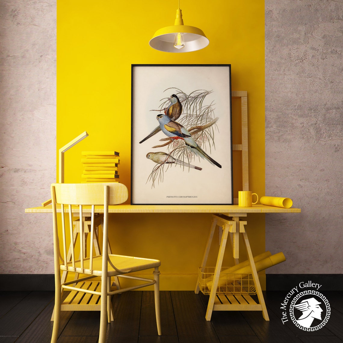 Vintage Golden-Shouldered Parrot Trio Antique Bird Illustration Print - Image 4